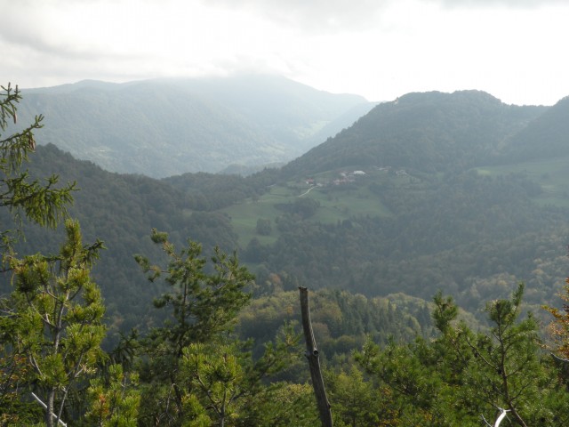 19 k. Vrednot konjšica - foto