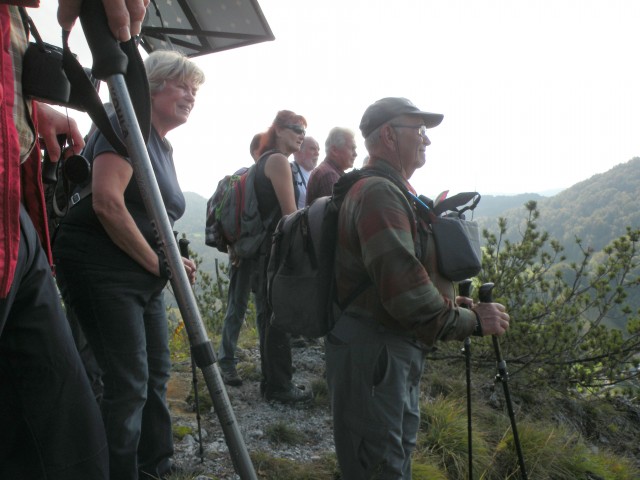 19 k. Vrednot konjšica - foto