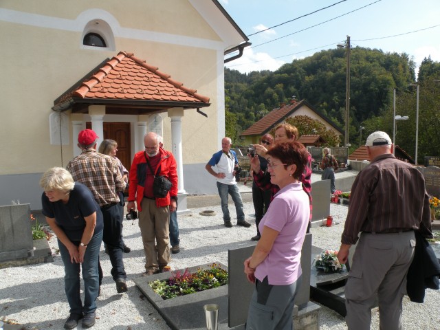 19 k. Vrednot konjšica - foto