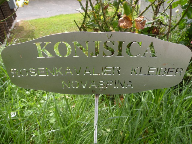 19 k. Vrednot konjšica - foto