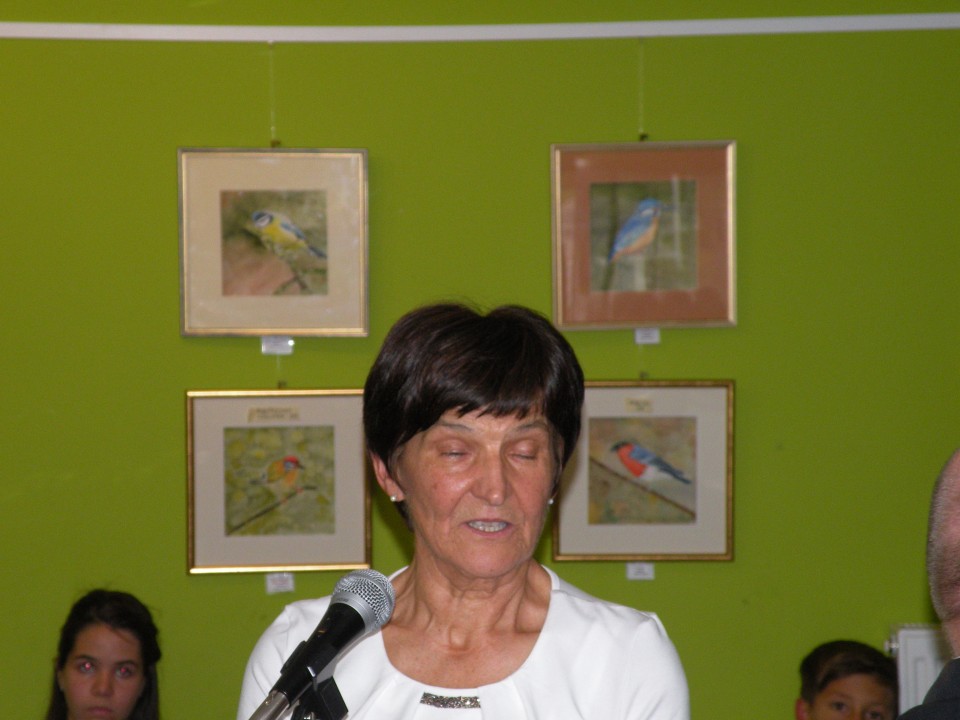 19.10.3. Galerija razstava - foto povečava