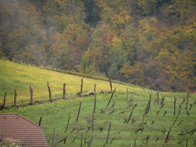 19 Lončarjev dol, Podvrh - Gelca - foto