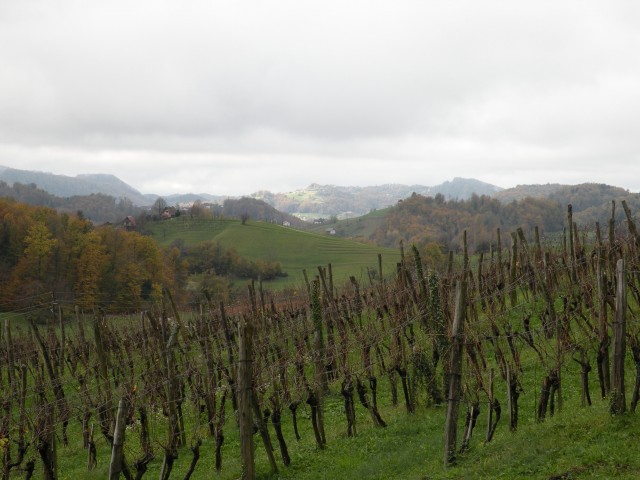 19 Lončarjev dol, Podvrh - Gelca - foto