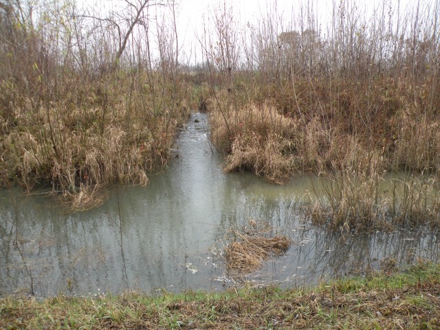 4.12.19 od Libne do Brežic čez polja. - foto