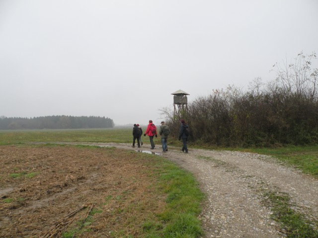 4.12.19 od Libne do Brežic čez polja. - foto