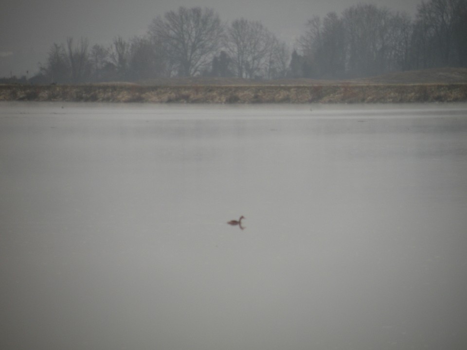 4.12.19 od Libne do Brežic čez polja. - foto povečava