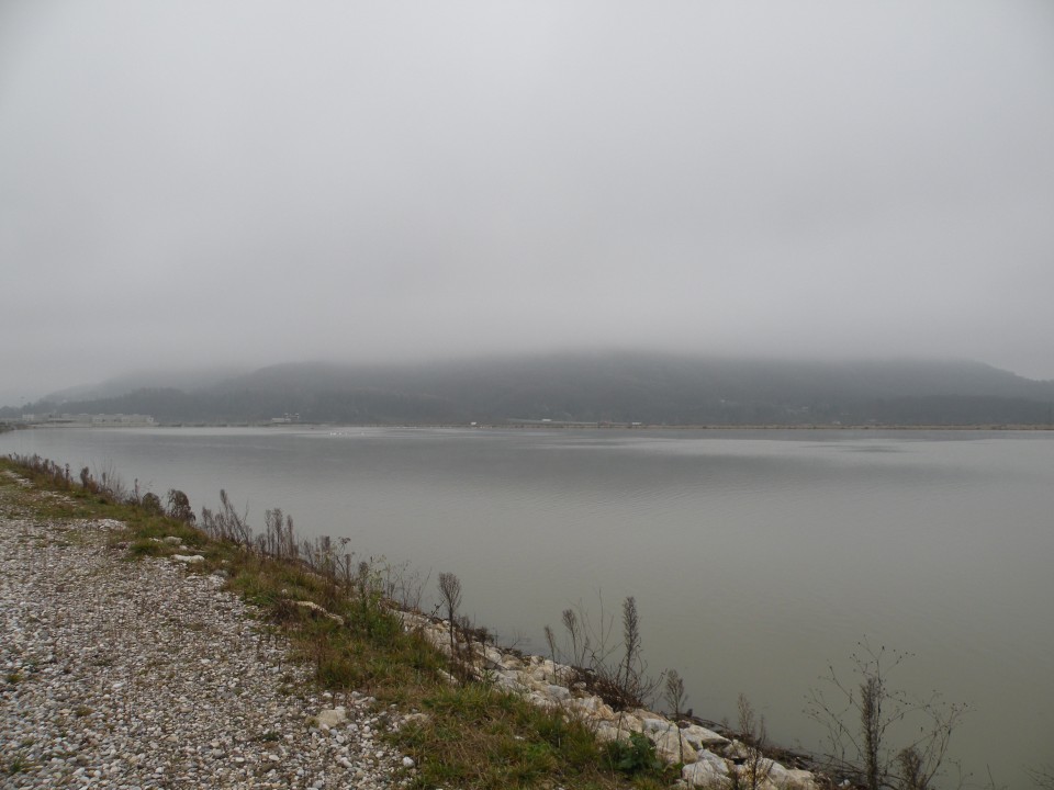 4.12.19 od Libne do Brežic čez polja. - foto povečava