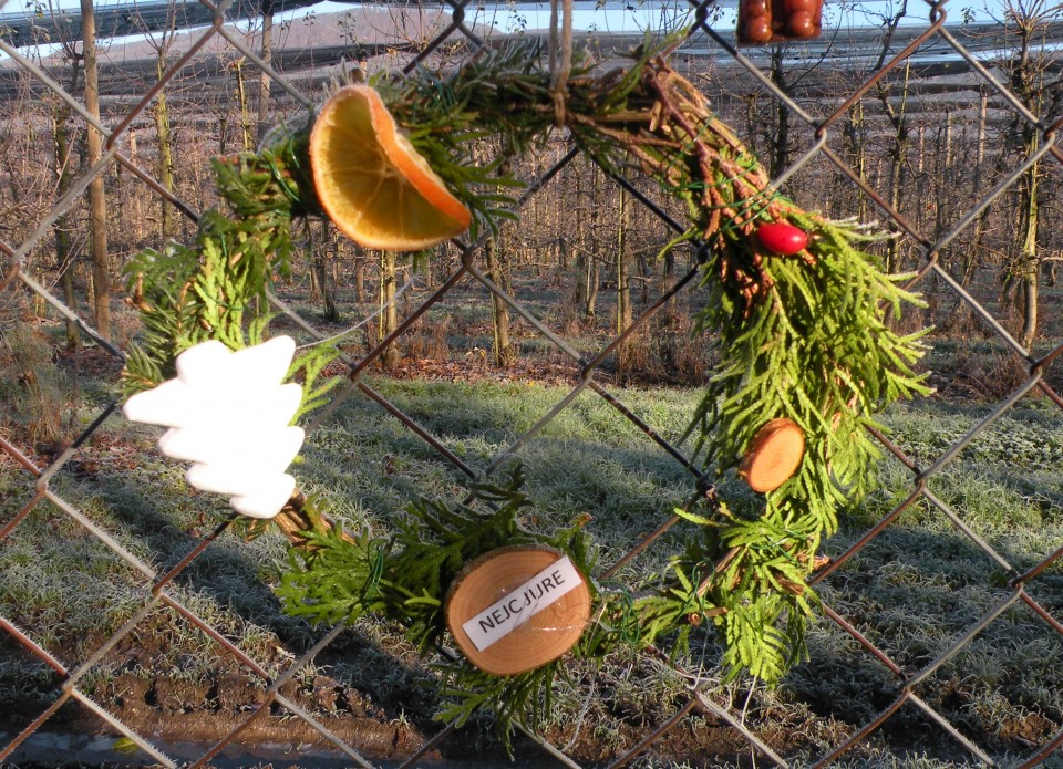 19 Adventni venčki v Loki pri Zid. m. - foto povečava