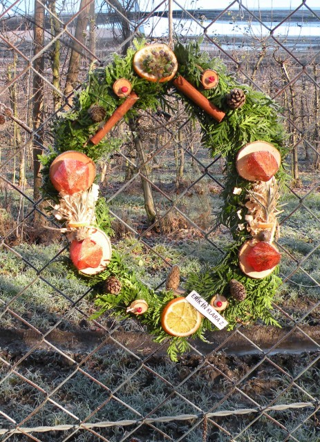19 Adventni venčki v Loki pri Zid. m. - foto