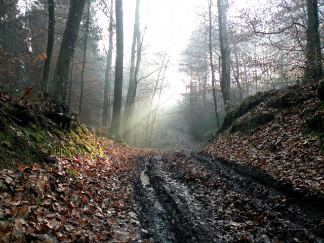 19 k.V. Žigarski vrh Kregl - foto