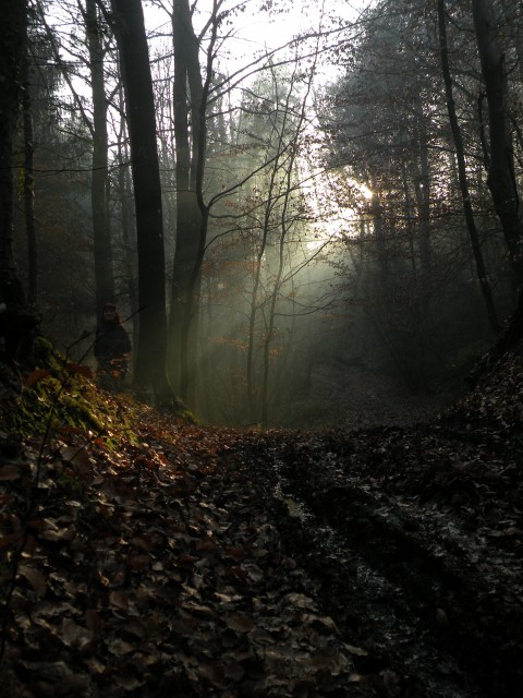 19 k.V. Žigarski vrh Kregl - foto