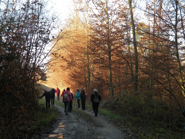 19 k.V. Žigarski vrh Kregl - foto