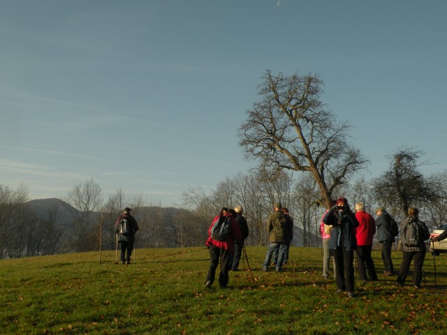 19 k.V. Žigarski vrh Kregl - foto