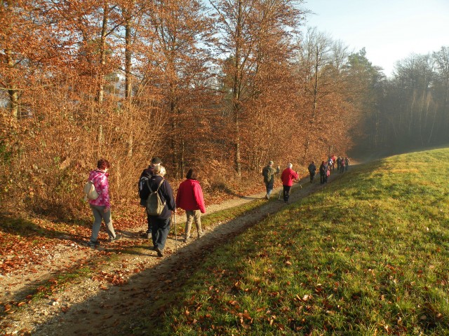19 k.V. Žigarski vrh Kregl - foto