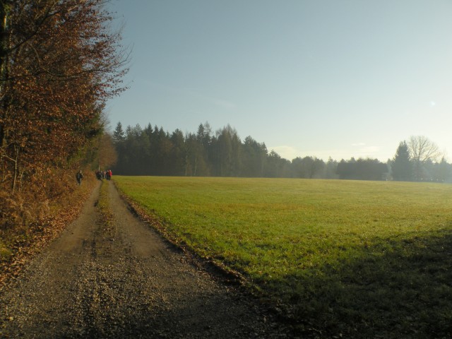 19 k.V. Žigarski vrh Kregl - foto