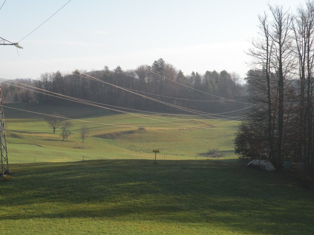 19 k.V. Žigarski vrh Kregl - foto