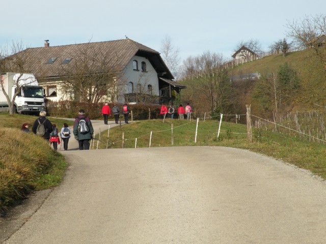 19 k.V. Žigarski vrh Kregl - foto