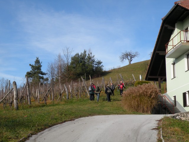 19 k.V. Žigarski vrh Kregl - foto