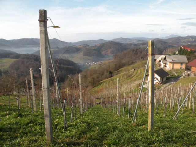 19 k.V. Žigarski vrh Kregl - foto