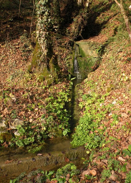 19 k.V. Žigarski vrh Kregl - foto