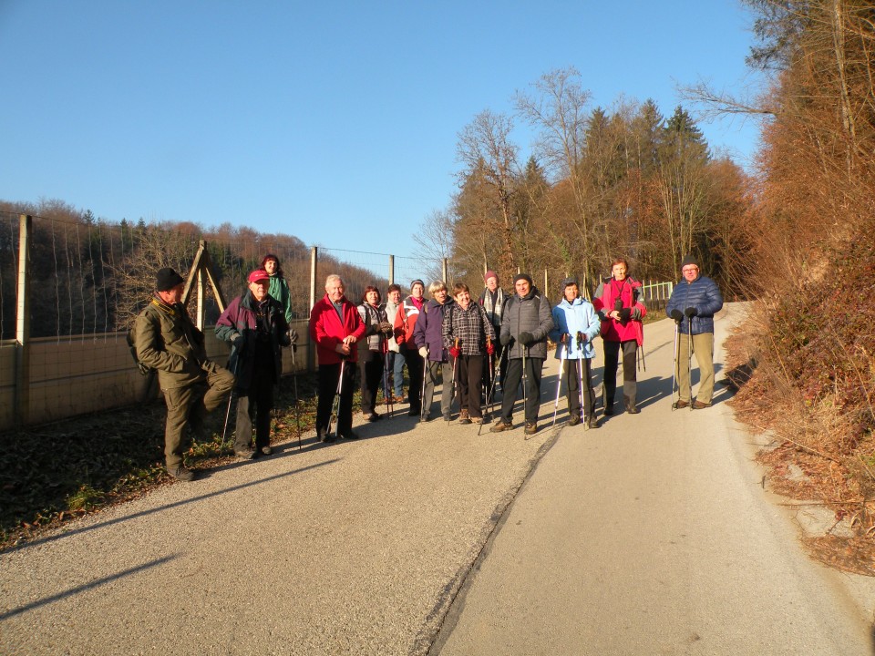 20 Log Orle Log - foto povečava