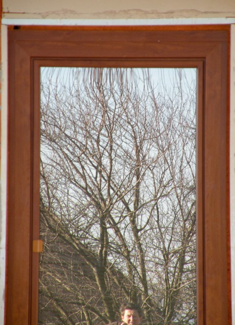 20 Log Orle Log - foto