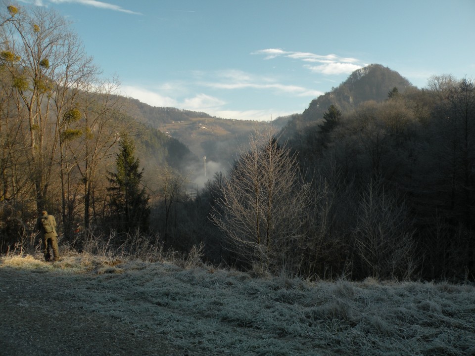 Gašperjev kostanj Radeče Močilno - foto povečava