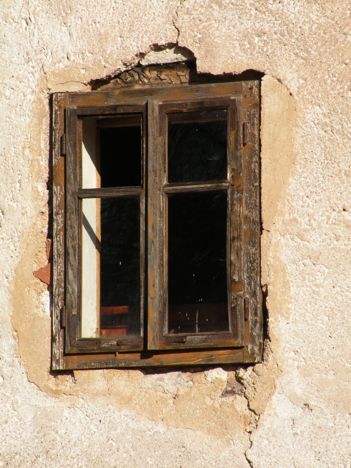 Gašperjev kostanj Radeče Močilno - foto povečava