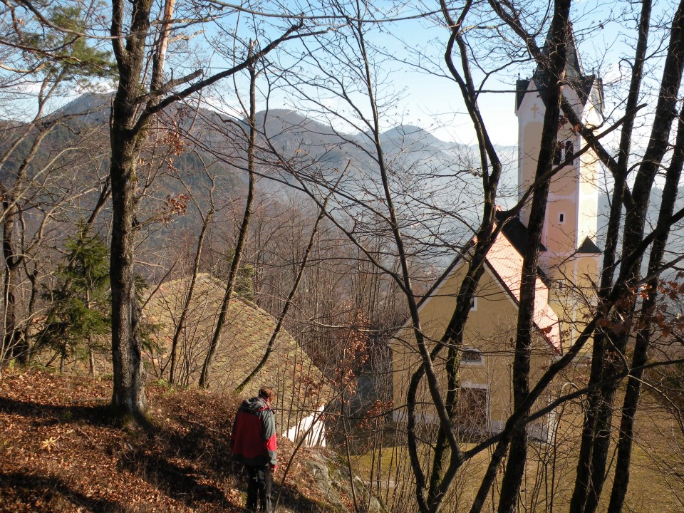 Gašperjev kostanj Radeče Močilno - foto povečava