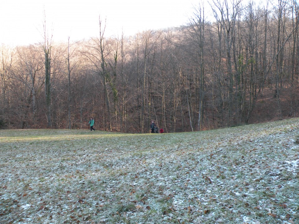 Gašperjev kostanj Radeče Močilno - foto povečava