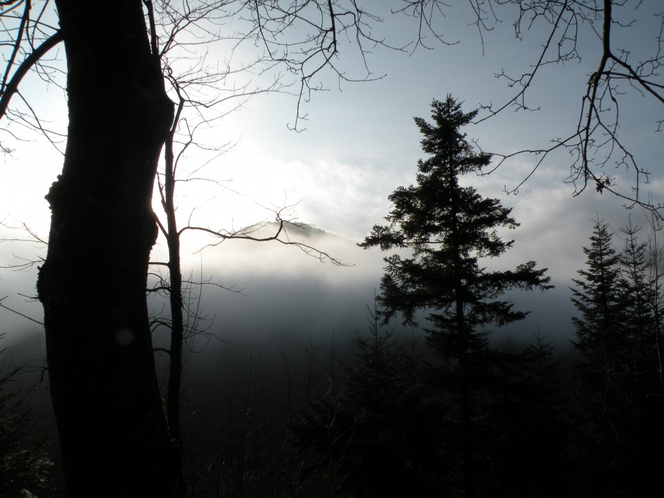 čez Polano do energijskih točk - foto povečava