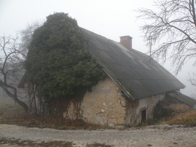 čez Polano do energijskih točk - foto