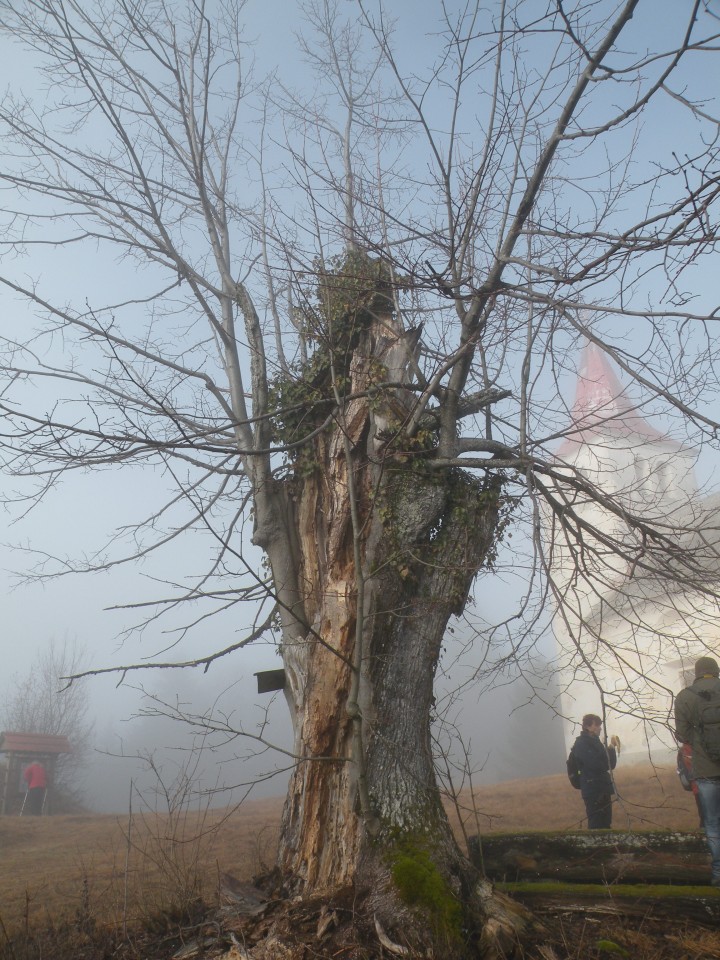 čez Polano do energijskih točk - foto povečava