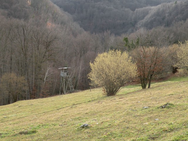 20 Pjavško, Češnjice, Ženje - foto