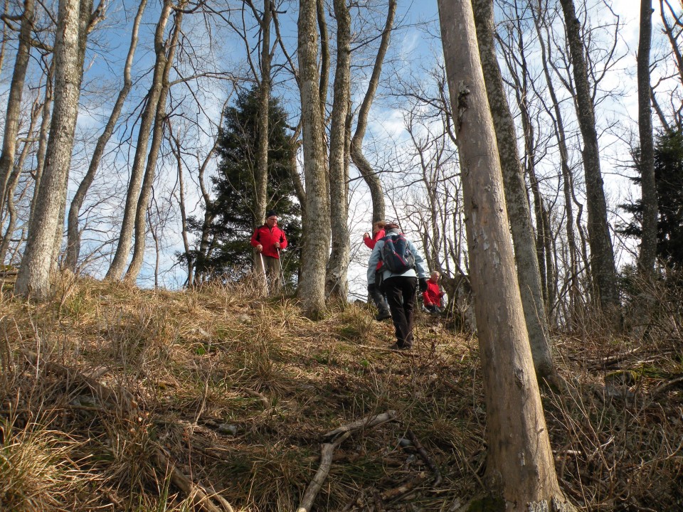 29 k.Vrednot na Bohorju - foto povečava