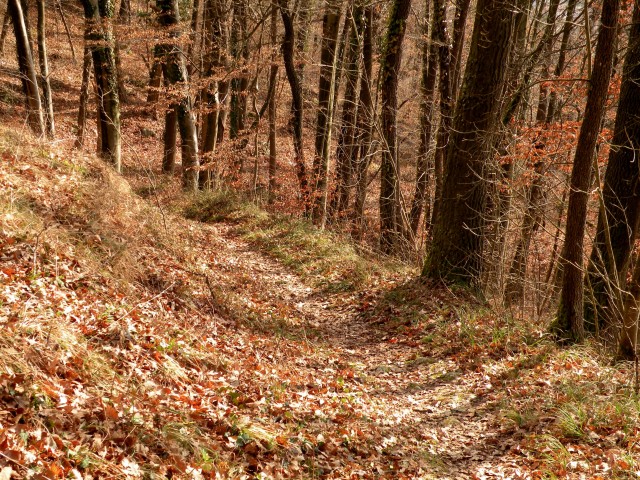 20 U3 k.V. namen Zajčja gora - foto