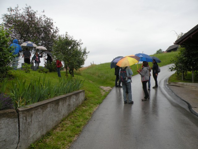 20 U3 k.V. Studenec - foto