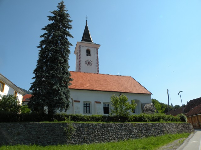 Nasad sivke v Radežu,loka pri Z.m. - foto