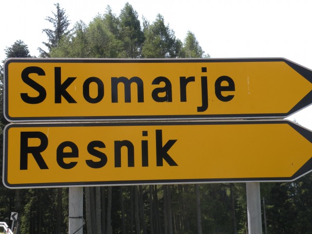 20 Rogla pot med krošnjami - foto