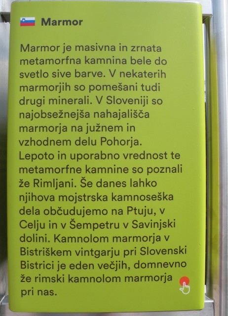 20 Rogla pot med krošnjami - foto