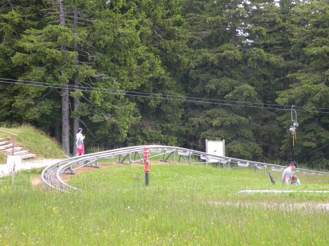 Rogla sprehod in sankanje - foto