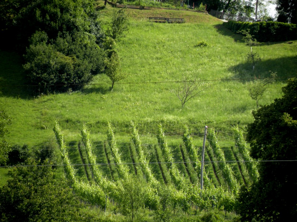 20 Zreče  - Brinova gora - foto povečava