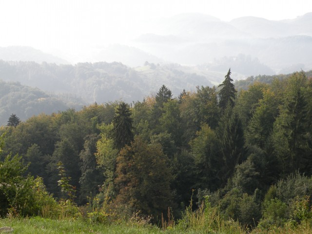 20 Lamprče  Krožek vrednot U3 - foto