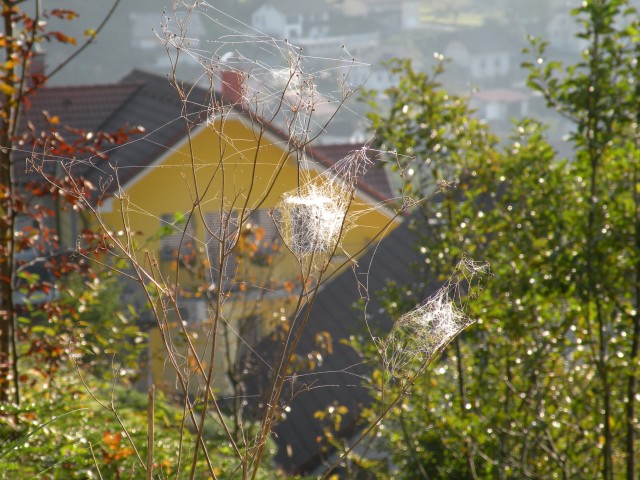 20 Zajčja gora kr. vrednot U3 - foto