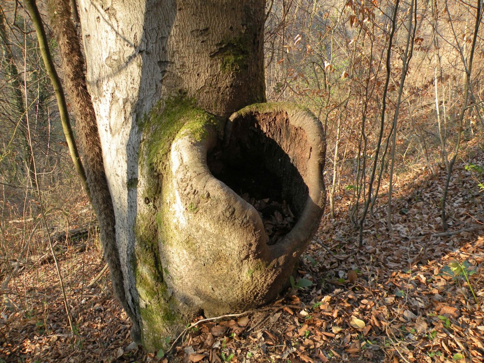 21 k.V U3 Širje, Veliko Širje - foto povečava