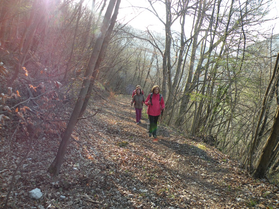 21 k.V U3 Širje, Veliko Širje - foto povečava