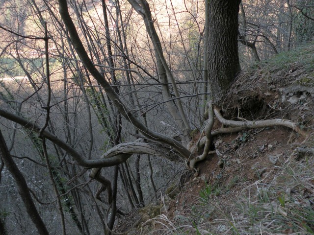 21 k.V U3 Širje, Veliko Širje - foto