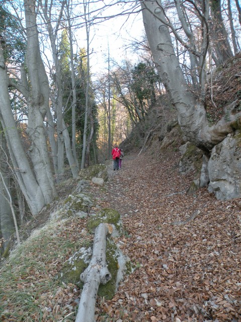 21 k.V U3 Širje, Veliko Širje - foto