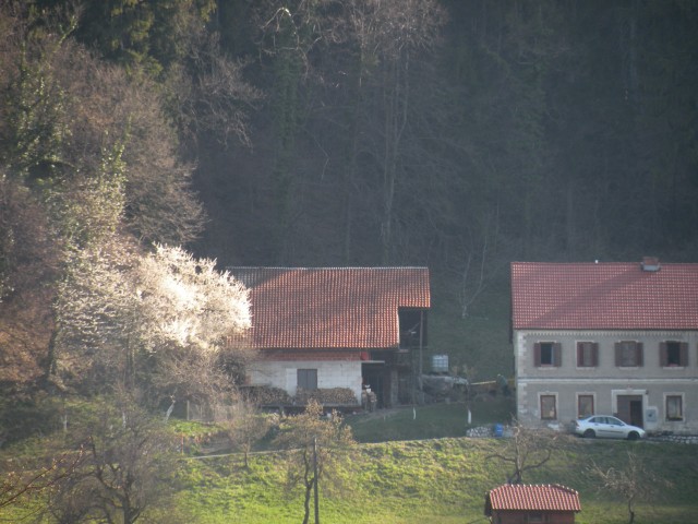 21 k.V U3 Širje, Veliko Širje - foto