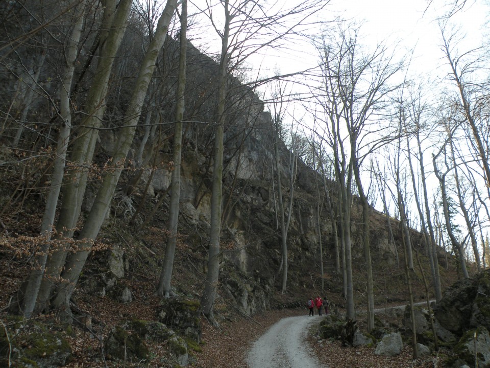 21 k.V U3 Širje, Veliko Širje - foto povečava